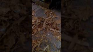 SLUM LORD VICTIMS PROOF Pt.1