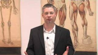 Nicotine &amp; Smoking Facts : What Is the Physiological Effect of Nicotine?