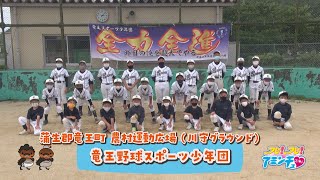 蒲生郡竜王町で野球をするなら！「竜王野球スポーツ少年団」蒲生郡竜王町 農村運動広場（川守グラウンド）