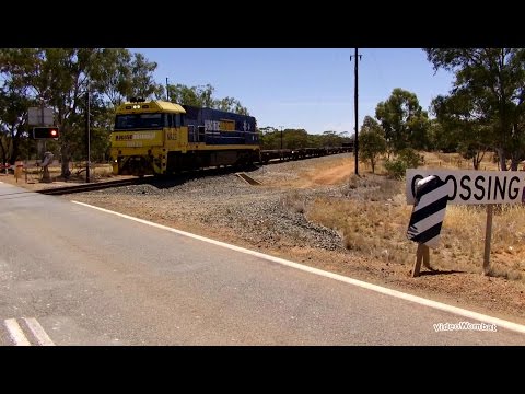 Pacific National NR23 Walgoolan WA