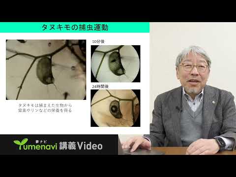 【バイオ環境学部】三村徹郎先生／感覚を研ぎ澄ませ！環境に適応する植物の力（夢ナビ講義Video）