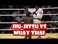 Jiu-jitsu VS Muay thai