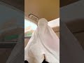 Pashto Tiktok Pashto Pashtopoetry Peshawar Poetry Pashtoon Afghanistan Afghan Pukhtoon Pukt