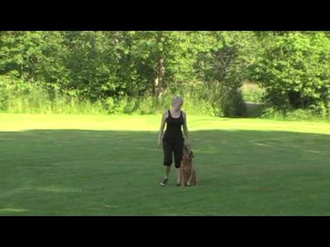 Fritt följ elitklass