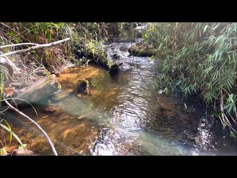 Fazenda São Miguel Bias Fortes MG