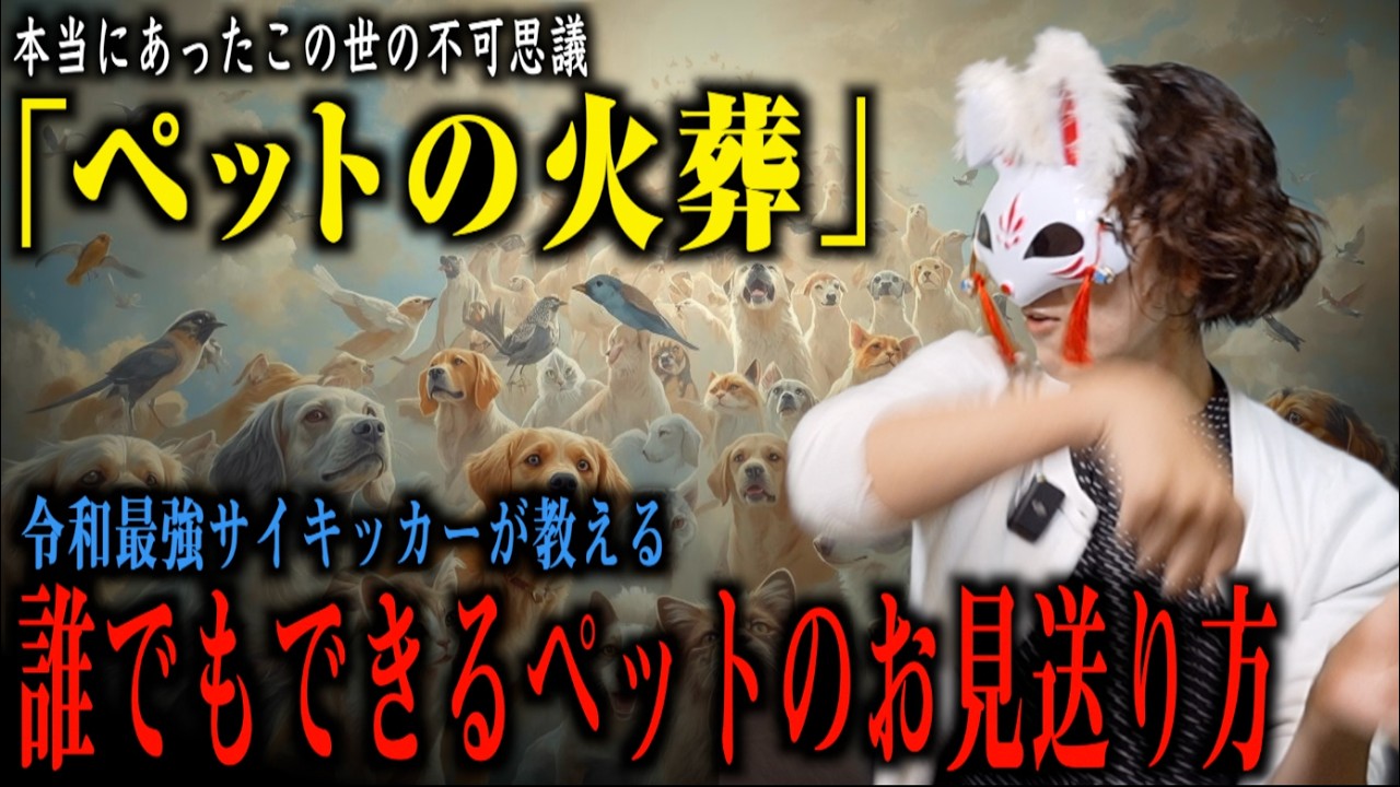 コレで迷わない！？ペットのお見送り方をお教えします！？【投稿・不思議な話】
