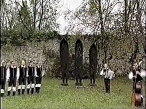 [HQ] Ansambel Lojzeta Slaka - Dve let in pol (1989)