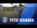 Vyzvi sigmáka - brankáři