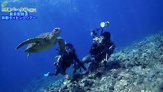 アルファダイブ沖縄(Alpha Dive Okinawa)