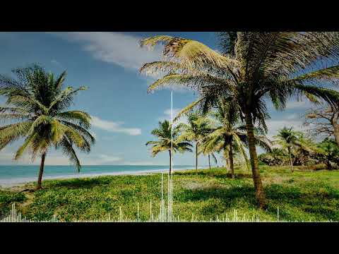 Team Feeling - Donne-Moi