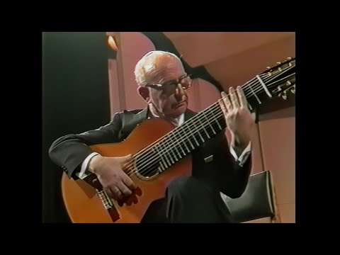 𝙋𝙝𝙖𝙣𝙩𝙖𝙨𝙞𝙖 2 ♫ David Kellner • 𝘕𝘢𝘳𝘤𝘪𝘴𝘰 𝘠𝘦𝘱𝘦𝘴 ♪ 10-string guitar • Santiago de Chile (1988)