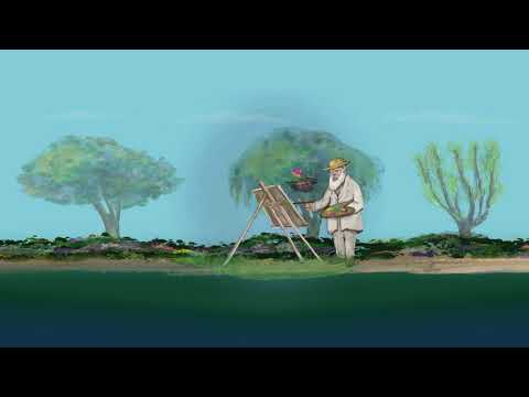 360 Video Reverie de Giverny