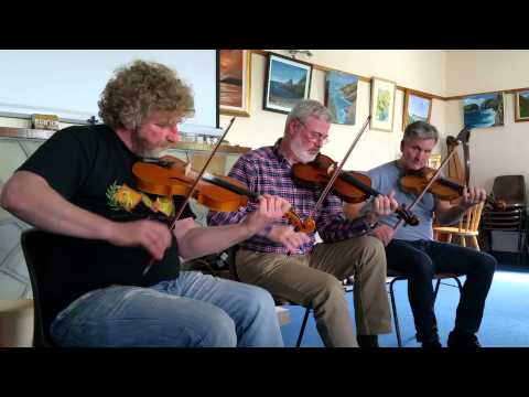 Cairdeas na bhFidiléirí ~ McFarley's