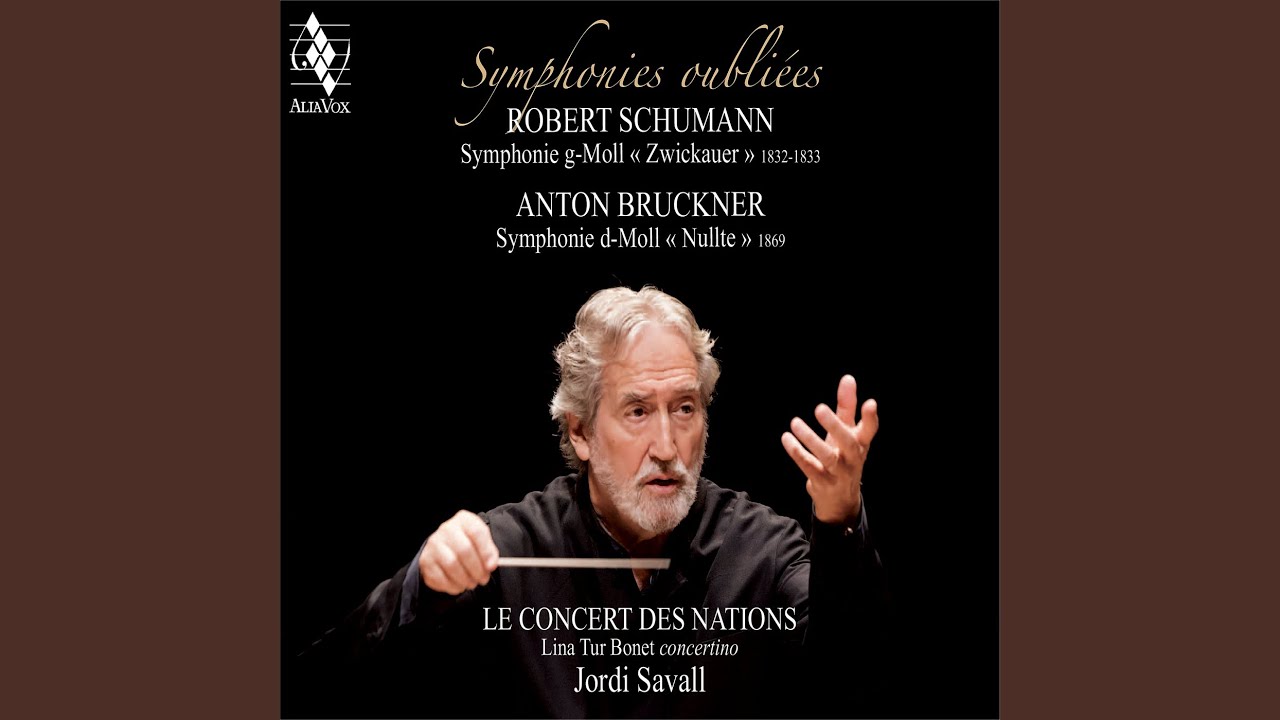 Symphony in G Minor, WoO 29 "Zwickauer": II. Andantino quasi allegretto - Intermezzo quasi...