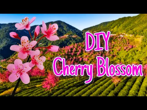 DIY Cherry Blossom from a Crepe Paper| DIY