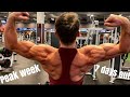 Peak week 7 days out(back destruction) (shredded back workout)