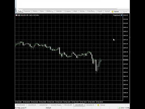 Video TriggerGuard Pending Order EA