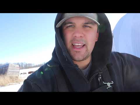 Straw Delivery and Skid Steer Chores