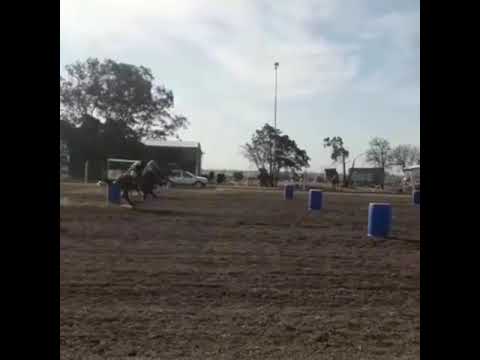 Destrezas en Colonia Las pichanas  Dario rinaldi