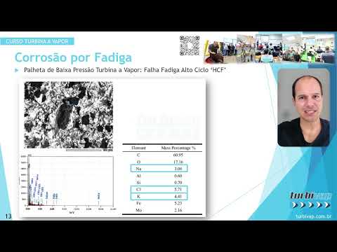 ANÁLISE DE FALHA DE PALHETA DE TURBINA A VAPOR: FALHA POR FADIGA ALTO CICLO HCF