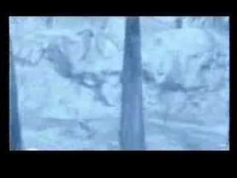 NHL Face Off 2001 Sony Playstation 2 - Intro Video