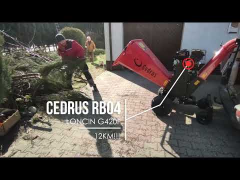 CEDRUS RB04 PRO E rozdrabnia thuje Jak pracuje? #Shorts