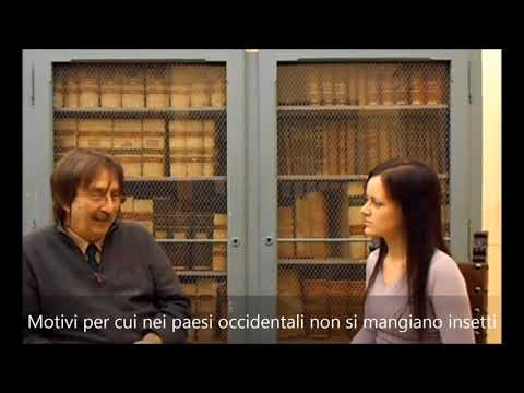 Insetti come cibo del futuro, intervista al Prof  Marzio Zapparoli