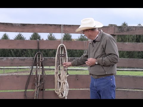 Headgear Options for Starting Colts (Episode 90) - Herm Gailey: A Lifetime with Horses