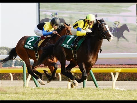 【ワンアンドオンリー】厩舎の悲願を背負って叩き合いに競り勝つ！第81回_日本ダービー