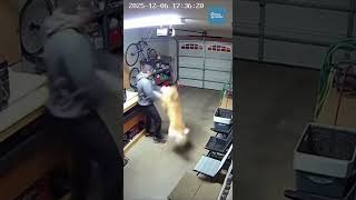 Golden Retriever Shoves Owner Away Moments Before Garage Wall Collapses