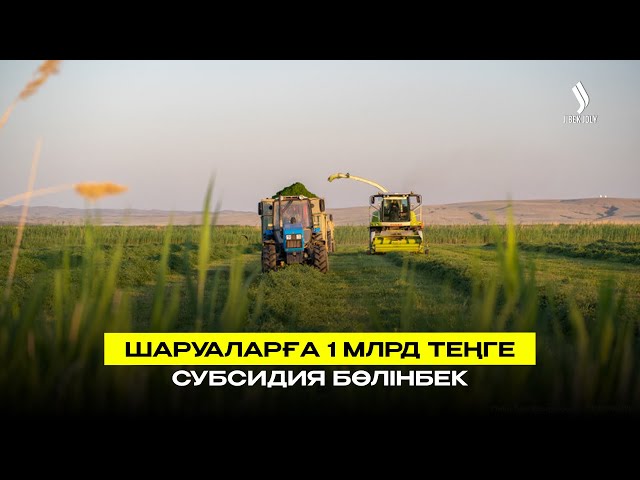 Шаруаларға субсидия үшін 1 млрд теңге бөлінбек
