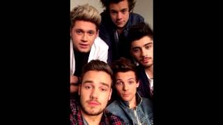 One Direction - Once In A Lifetime (Acapella - Vocals Only)