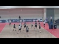 Volleyball Highlight