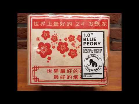 1.0'' Blue Peony Vuurwerk