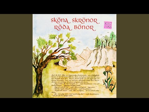 Sången Om Sexualmyterna - Röda Bönor