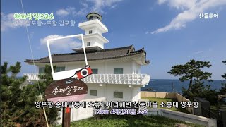 해파랑길 12코스 양포항 송대말등대 소봉대 감포항 13km, 비릿한 바다내음과 같이 걷는길