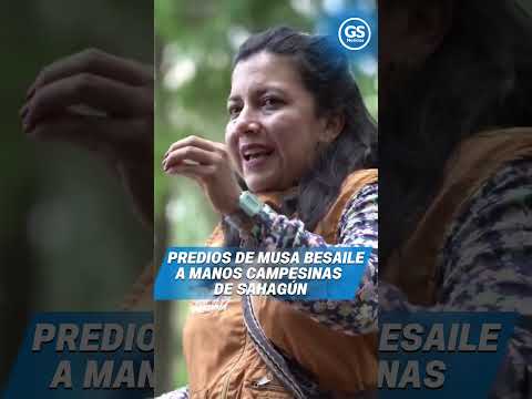 Predios de Musa Besaile en manos campesinas de Sahagún