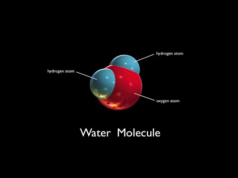 Water Molecules | Arbor Scientific