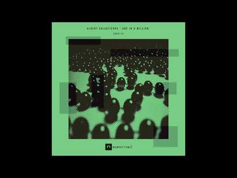 Albert Salvatierra   Bullshit   NRDR118