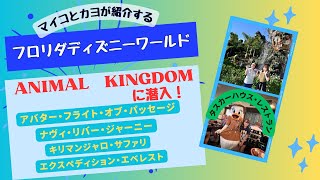 アニマルキングダムの人気アトラクションを紹介!