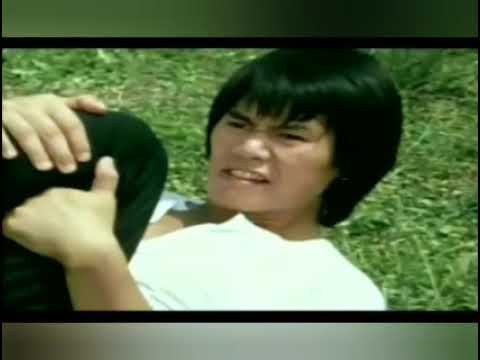 Snake in the Monkeys shadow...