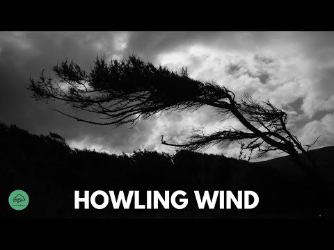 10 HR | HOWLING WIND sounds for sleeping & relaxation | Dark Screen | Black Screen
