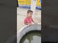 Pani Me Mili Shark Mayra को Shorts
