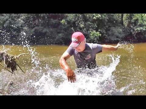 Catch 10X MORE Bass With Lizards