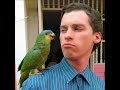 Jim Reeves   Have I Stayed Away Too Long Cover