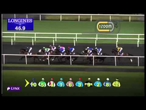 02.02.2013 Meydan (Dubai-UAE) 4.Race Longines Conquest - 1.900 m
