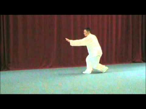 XingYi Quan 5 Elements Linking Form by Master Shao Zhao Ming