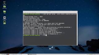 Uninstall program in Linux Mint or Ubuntu using Terminal
