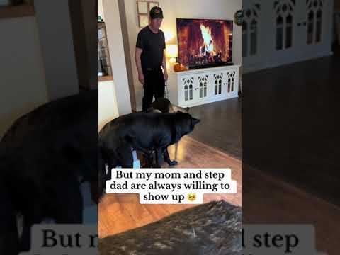 Why are people SCARED of HIM?? #germanshepherd