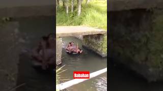 Download lagu berselancar di Saluran irigasi  di Tabanan mp3